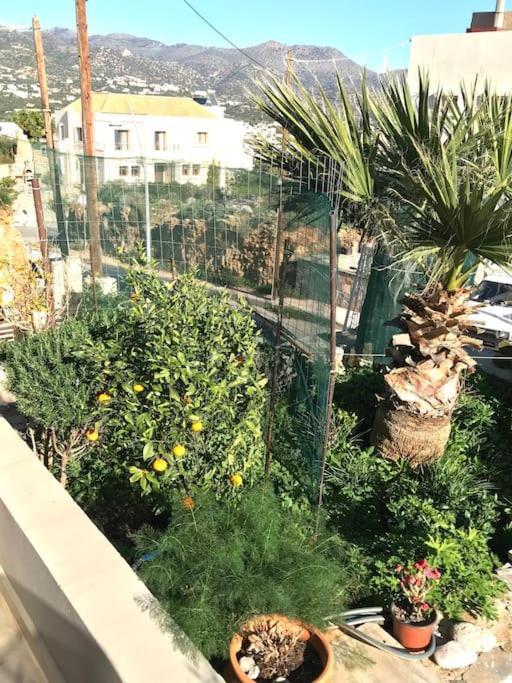 Cretan Home From Home Agios Nikolaos Exterior foto